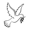 CCdove